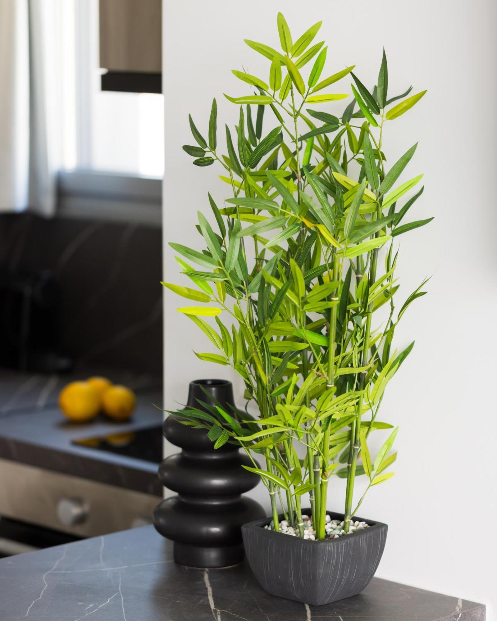 Apartment Babylon Luxury No1 By Binobi!